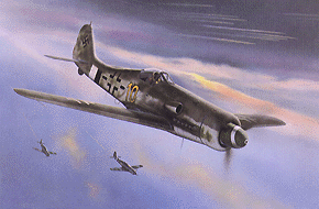WINGS OF VALOR - FOCKE-WULF Fw 190 D-13/R11